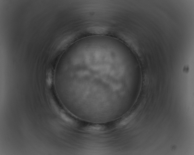 X0000093560069200710221431