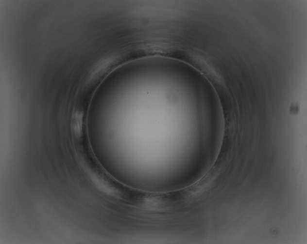 X0000093560070200710221431