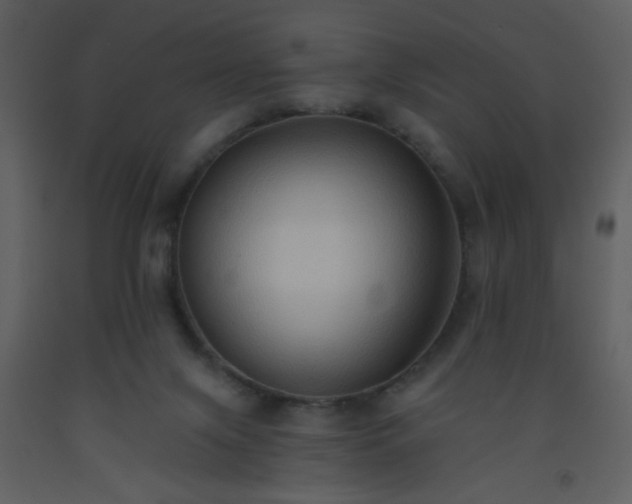 X0000093560071200710221431