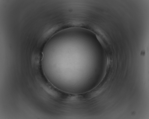 X0000093560072200710221431