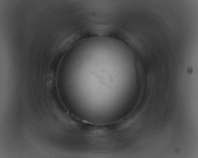 X0000093560073200710221431