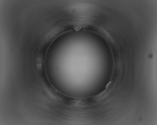 X0000093560074200710221431