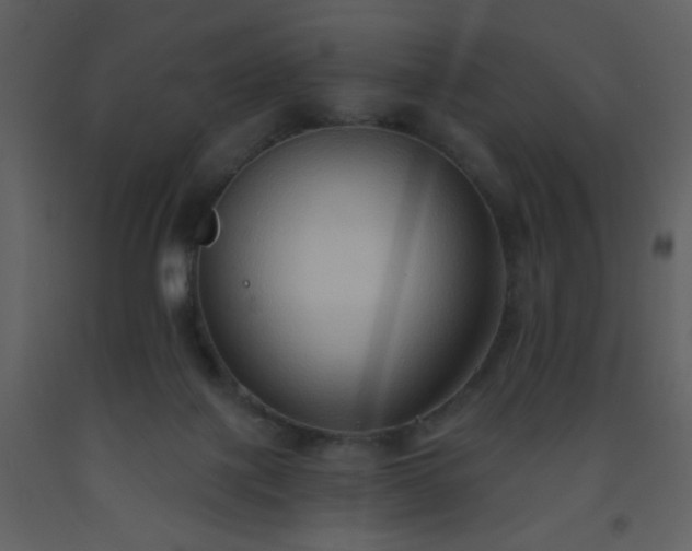 X0000093560075200710221431