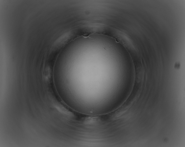 X0000093560077200710221431