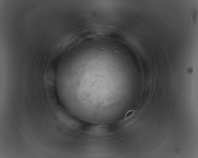 X0000093560078200710221431