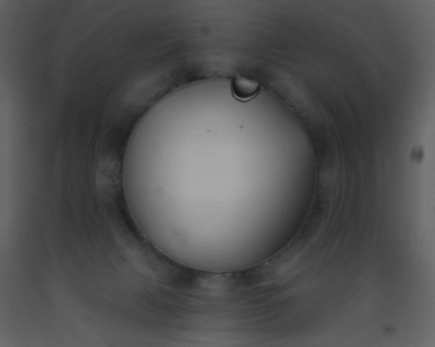 X0000093560079200710221431