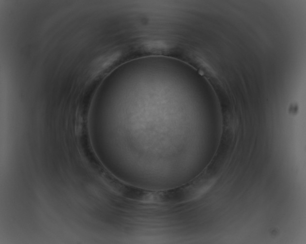 X0000093560080200710221431