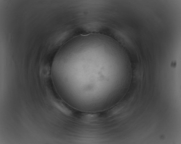 X0000093560081200710221431