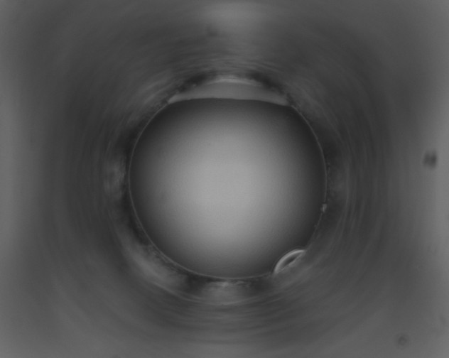 X0000093560082200710221431