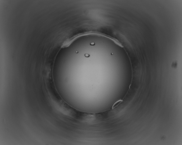 X0000093560083200710221431