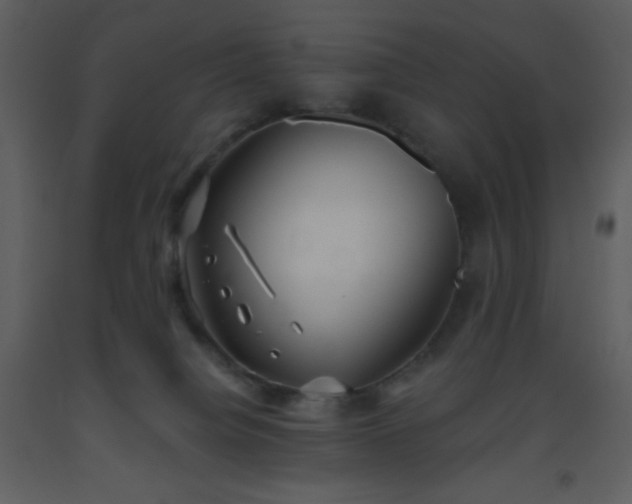 X0000093560084200710221431