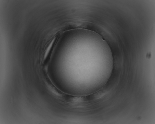 X0000093560085200710221431