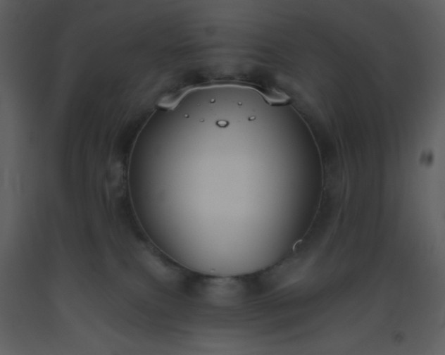 X0000093560087200710221431