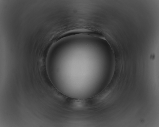 X0000093560088200710221431