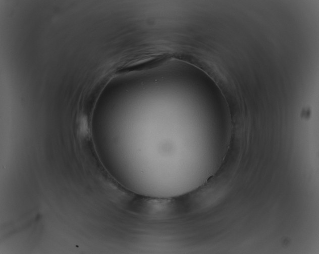 X0000093560089200710221431