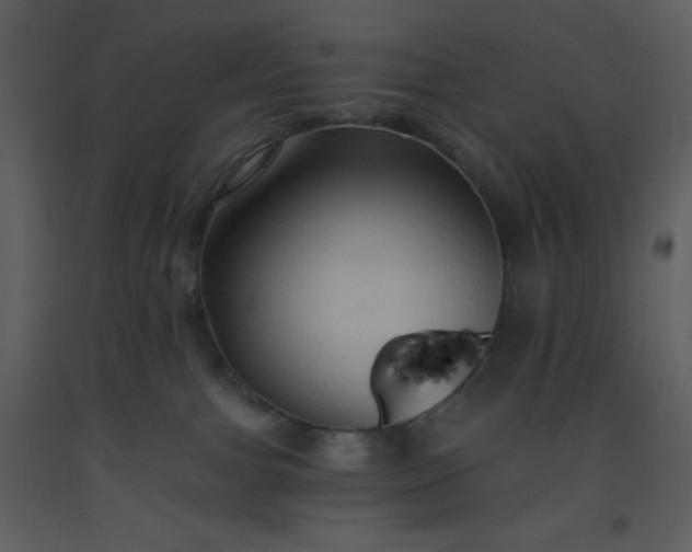 X0000093560091200710221431