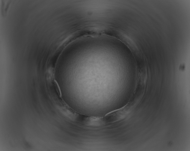 X0000093560093200710221431