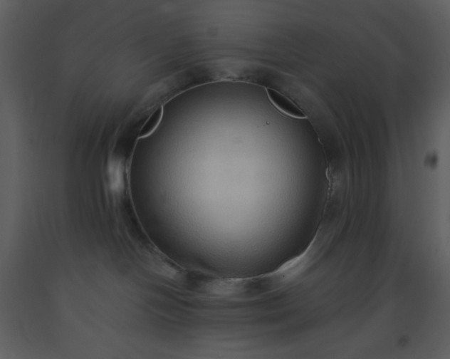 X0000093560094200710221431