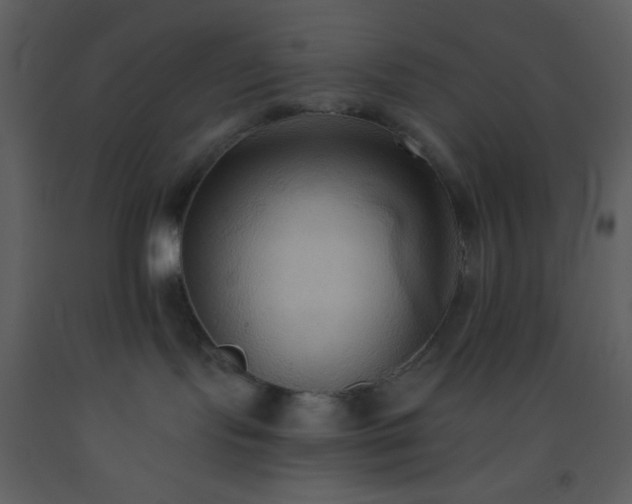 X0000093560095200710221431