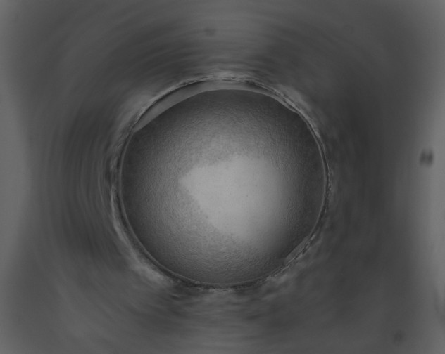 X0000093560097200710221431