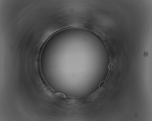 X0000093560098200710221431