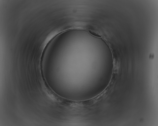 X0000093560099200710221431