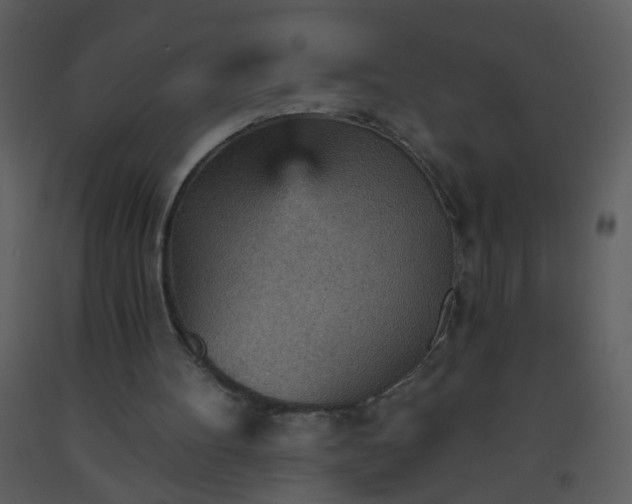 X0000093560100200710221431