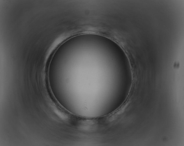 X0000093560102200710221431