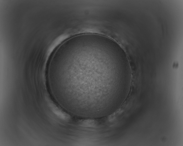 X0000093560104200710221431