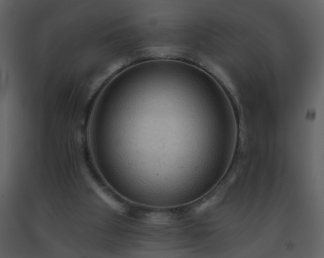 X0000093560105200710221431