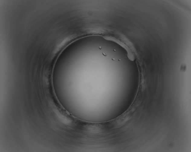 X0000093560106200710221431