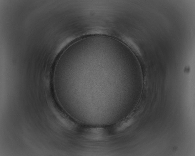 X0000093560108200710221431