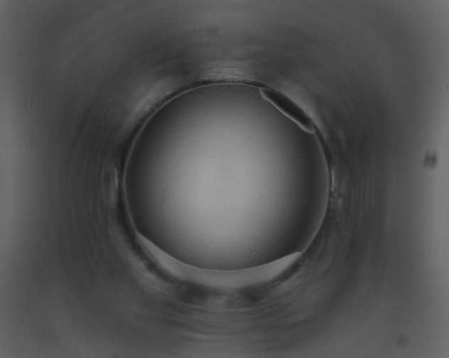 X0000093560109200710221431