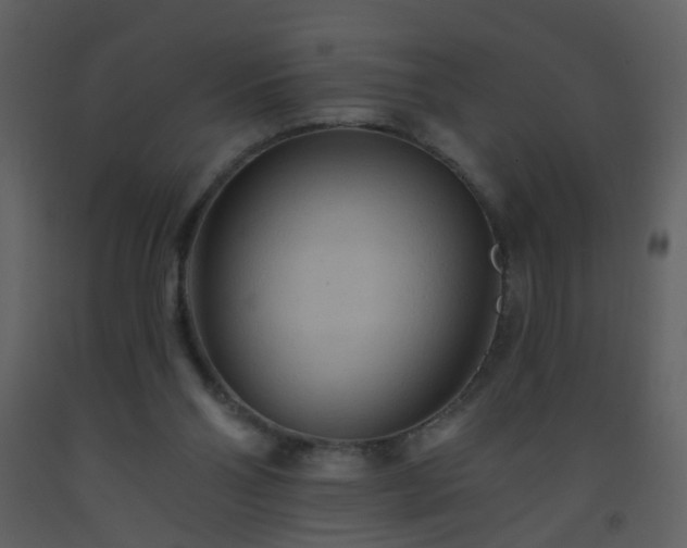 X0000093560110200710221431