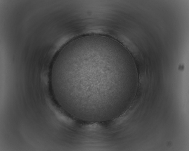 X0000093560112200710221431