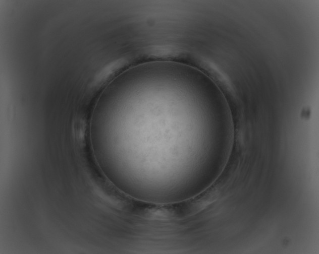 X0000093560115200710221431