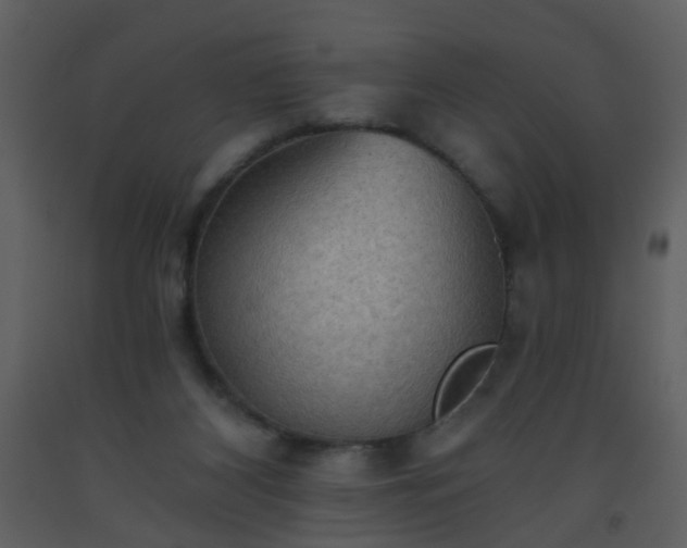 X0000093560116200710221431