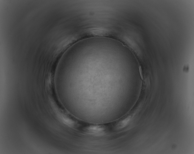 X0000093560117200710221431