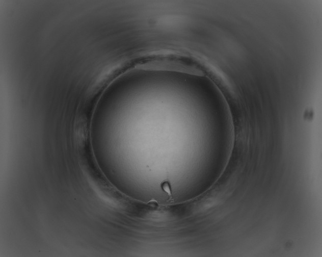 X0000093560119200710221431