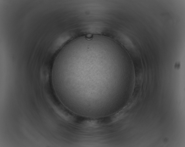 X0000093560120200710221431