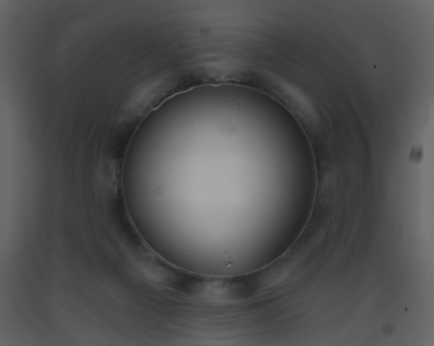 X0000093560121200710221431