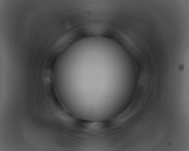 X0000093560122200710221431