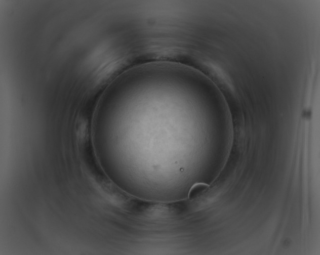 X0000093560123200710221431