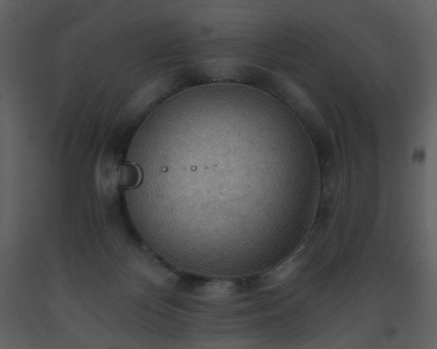 X0000093560124200710221431