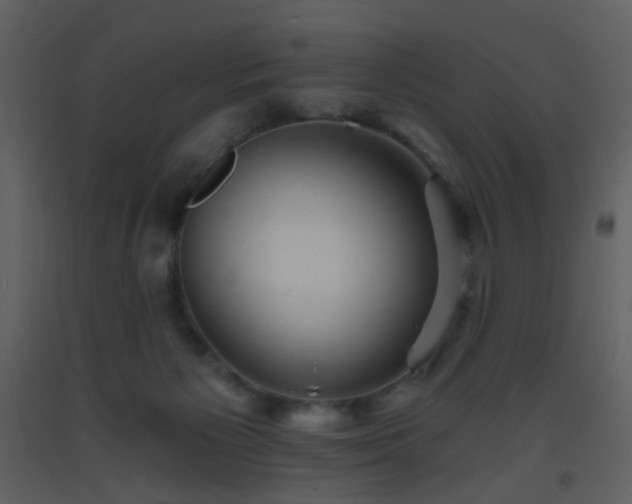 X0000093560125200710221431