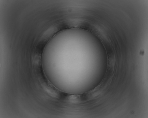 X0000093560126200710221430