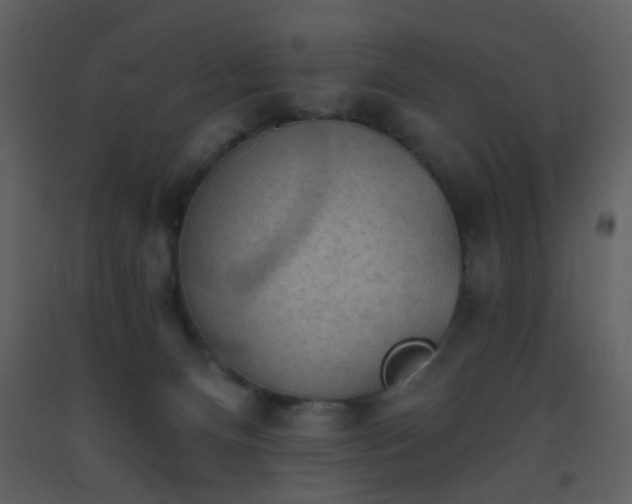 X0000093560128200710221430