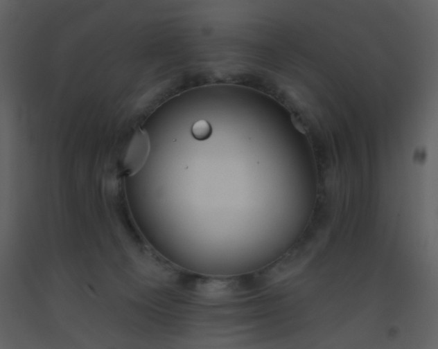 X0000093560129200710221430