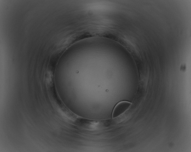 X0000093560130200710221430