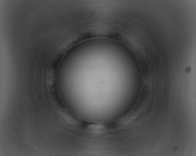 X0000093560133200710221430